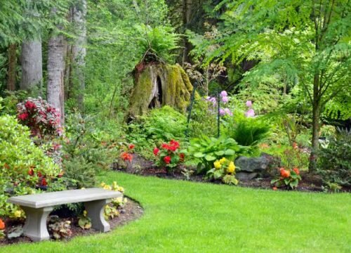 Low Maintenance Garden Ideas for Busy Homeowners