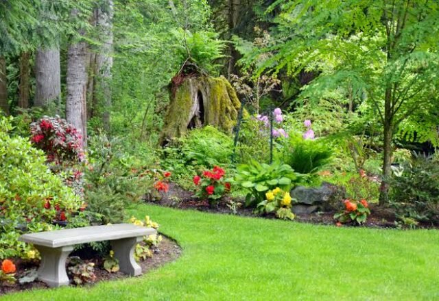 Ready for a garden that fits your schedule