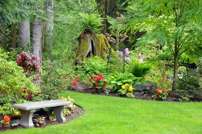 Ready for a garden that fits your schedule