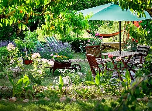Ready to transform your small backyard