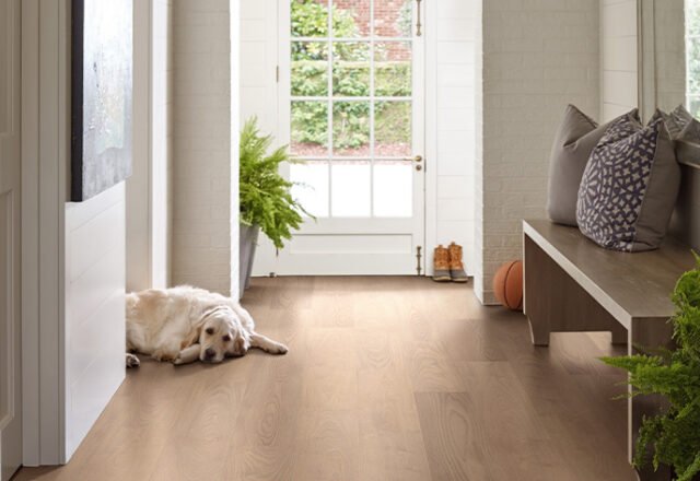 Ready to upgrade your floors