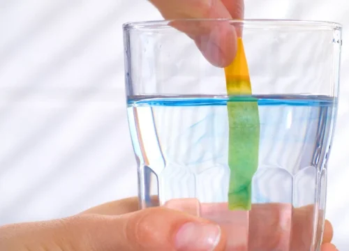 Why Testing Your Water First Can Save You Time, Money, and Trouble
